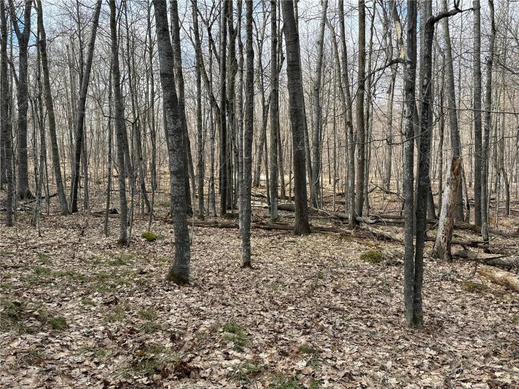 TBD Ripley Spur Road Sarona WI 54870 - Ripley Lake 7044516 image26