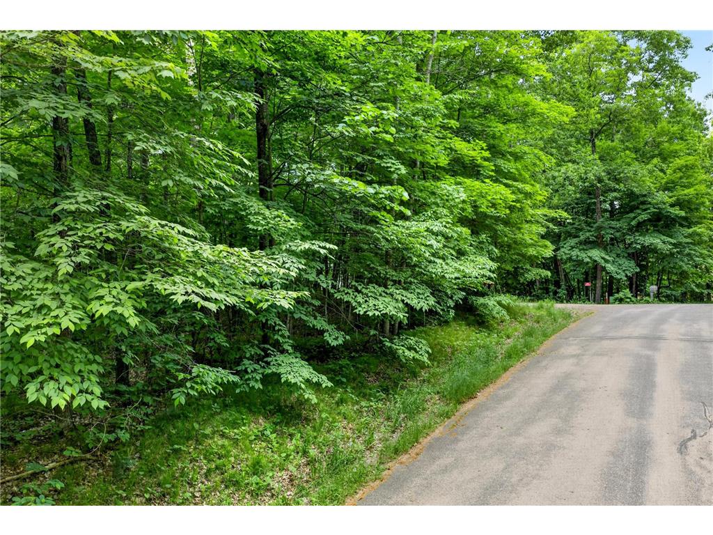 TBD Ripley Spur Road Sarona WI 54870 - Ripley Lake 7044516 image5