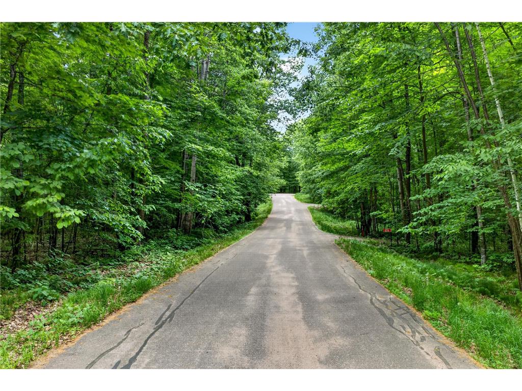 TBD Ripley Spur Road Sarona WI 54870 - Ripley Lake 7044516 image7