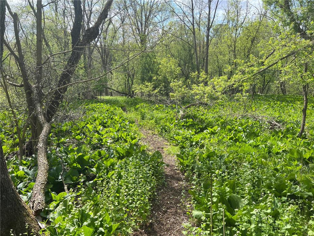 TBD River Heights Road Menomonie WI 54751 - Red Cedar River 7015736 image17