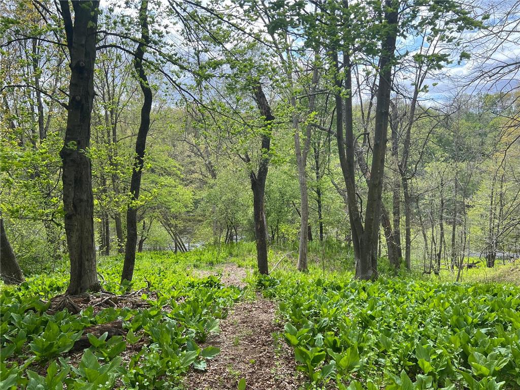 TBD River Heights Road Menomonie WI 54751 - Red Cedar River 7015736 image6