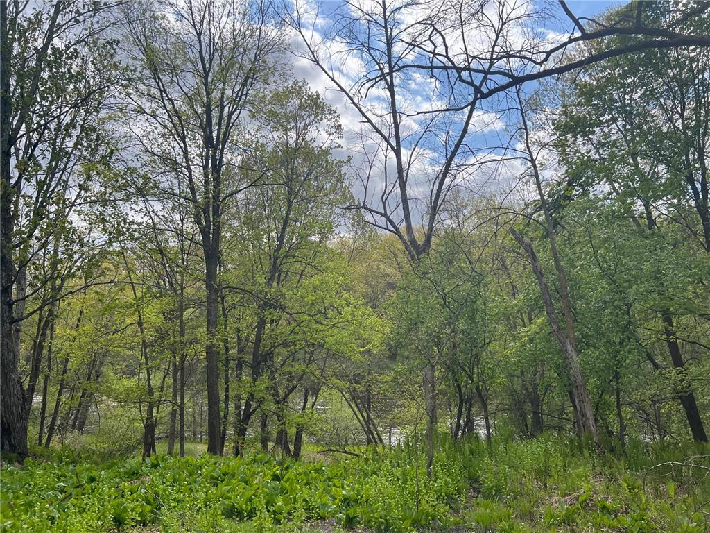 TBD River Heights Road Menomonie WI 54751 - Red Cedar River 7015736 image7