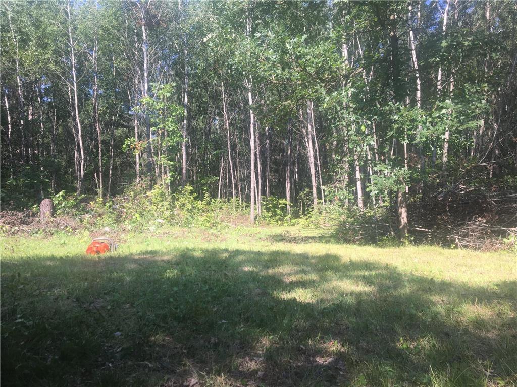 TBD Rivers Edge Trail SW Barclay Twp MN 56435 6476615 image1