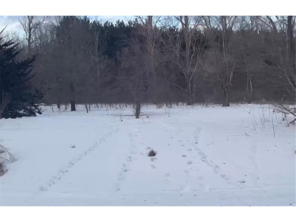 TBD Riverview Drive NE Carlos MN 56319 7000264 image1