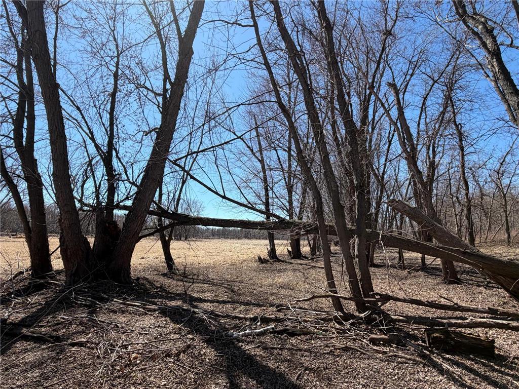 TBD Riverview Place Mission Twp MN 56465 - Pine River 7054649 image21