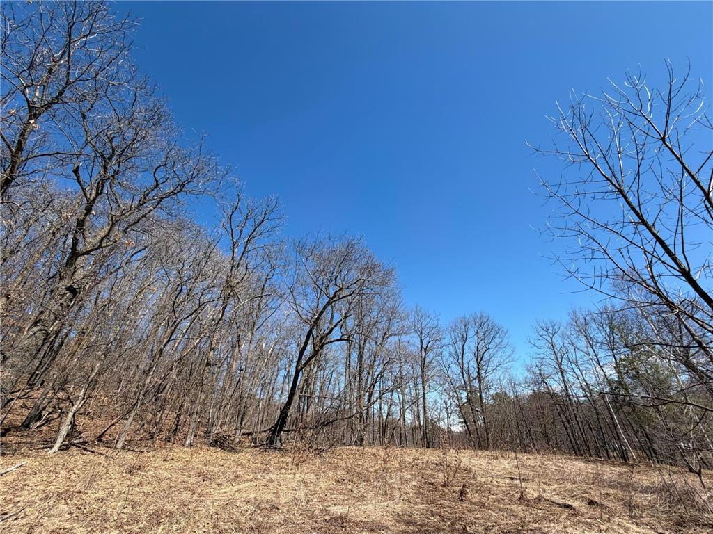 TBD Riverview Place Mission Twp MN 56465 - Pine River 7054649 image25