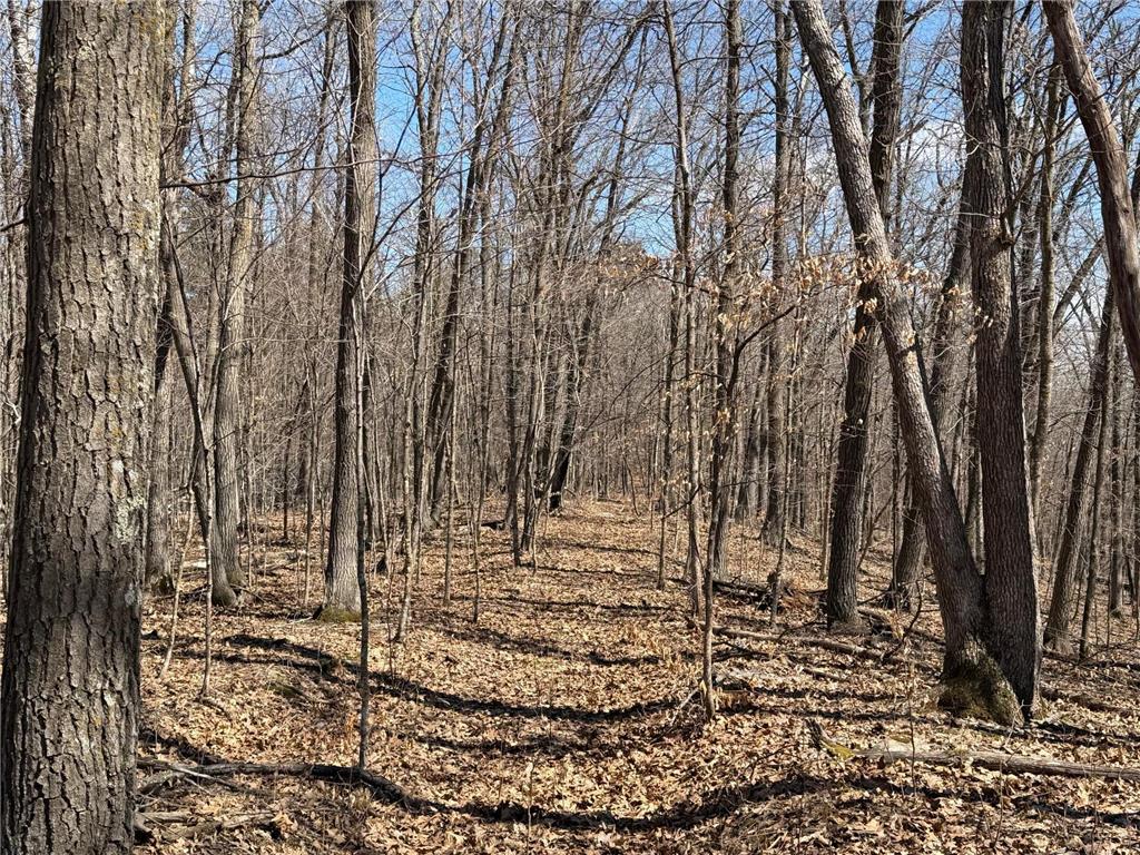 TBD Riverview Place Mission Twp MN 56465 - Pine River 7054649 image26