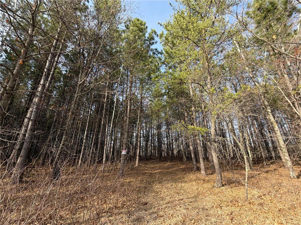 TBD Riverview Place Mission Twp MN 56465 - Pine River 7054649 image37