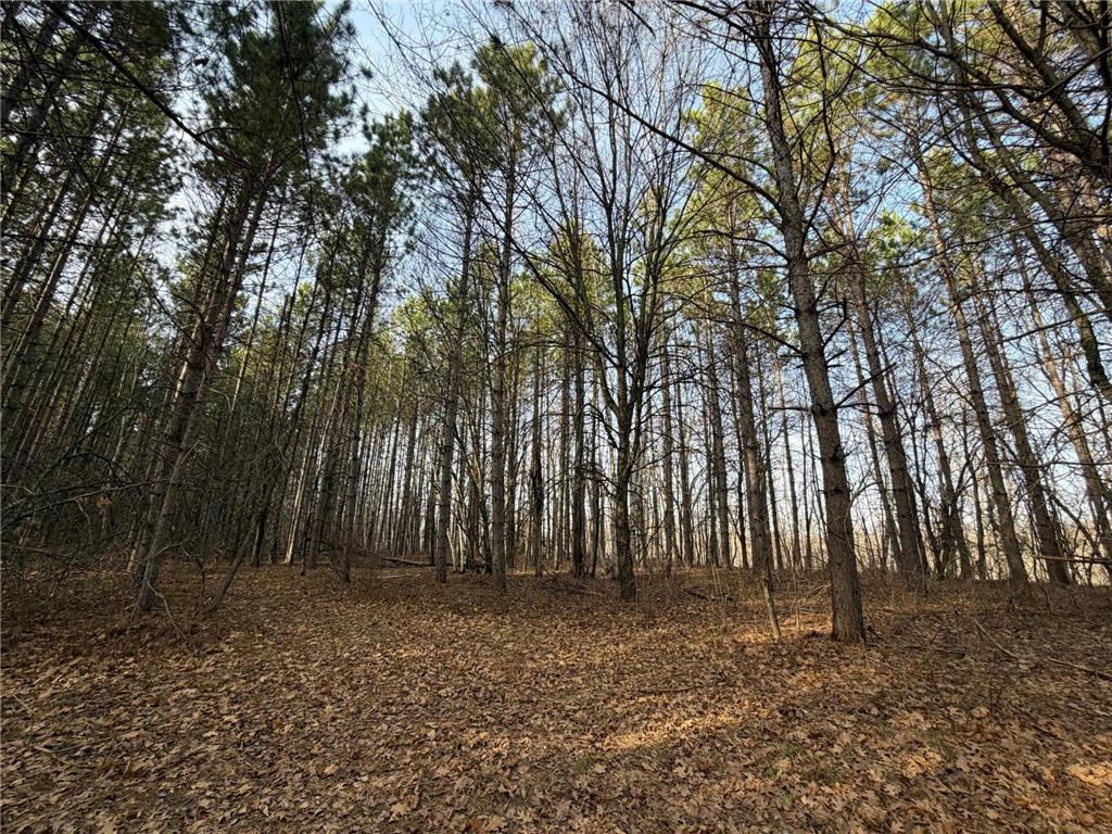 TBD Riverview Place Mission Twp MN 56465 - Pine River 7054649 image38