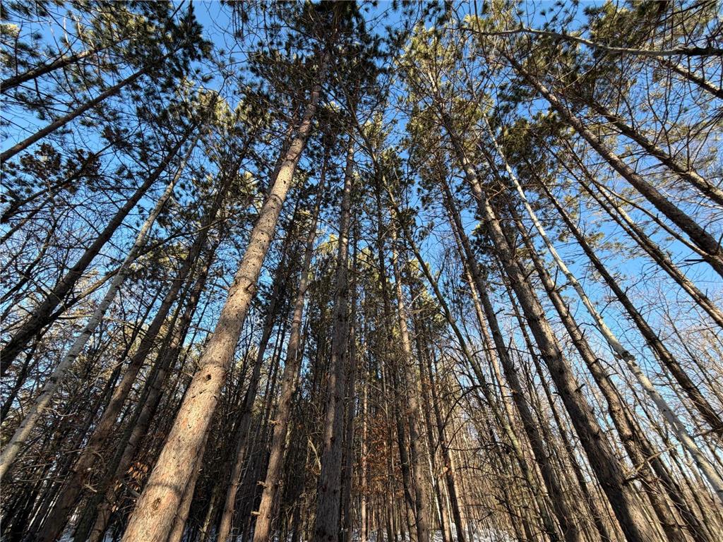 TBD Riverview Place Mission Twp MN 56465 - Pine River 7054649 image39