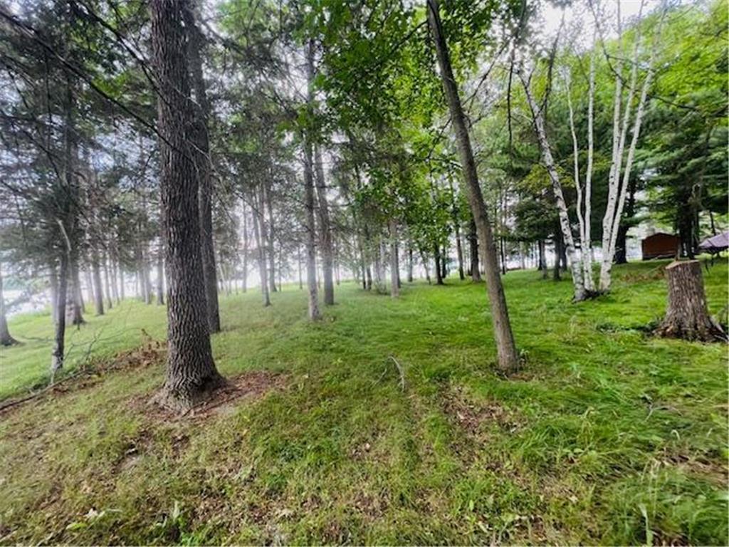 TBD Rock Point Drive Walker MN 56484 6556351 image1