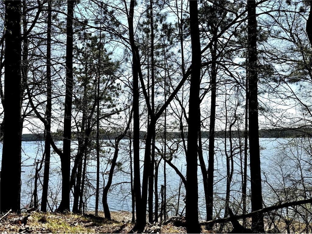 TBD Rognaldson Road Brainerd MN 56401 - Upper South Long 6716897 image1