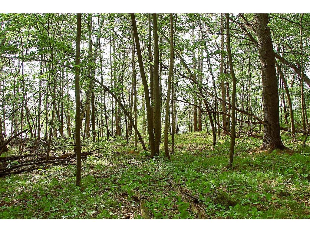 TBD Rognaldson Road Brainerd MN 56401 - Upper South Long 6716897 image10