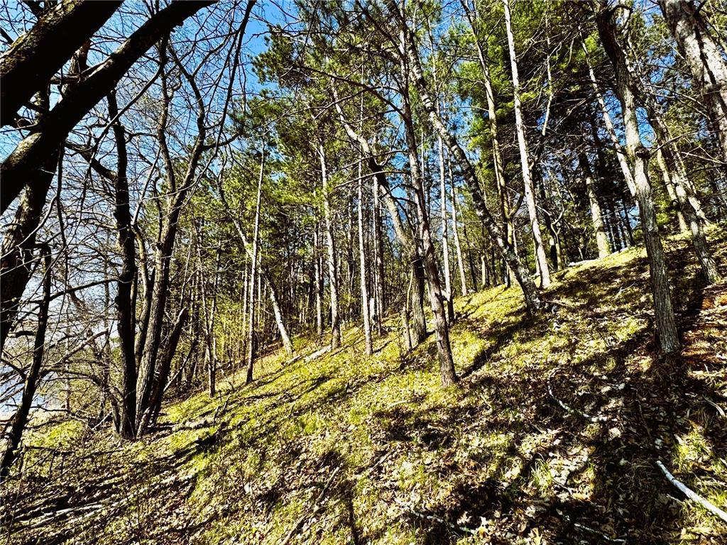 TBD Rognaldson Road Brainerd MN 56401 - Upper South Long 6716897 image11