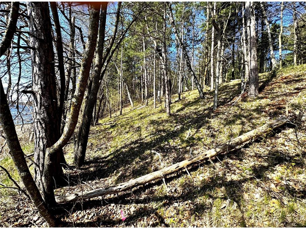 TBD Rognaldson Road Brainerd MN 56401 - Upper South Long 6716897 image12