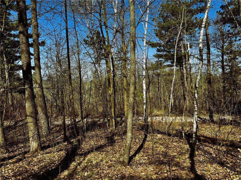 TBD Rognaldson Road Brainerd MN 56401 - Upper South Long 6716897 image13