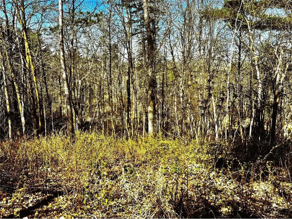 TBD Rognaldson Road Brainerd MN 56401 - Upper South Long 6716897 image14