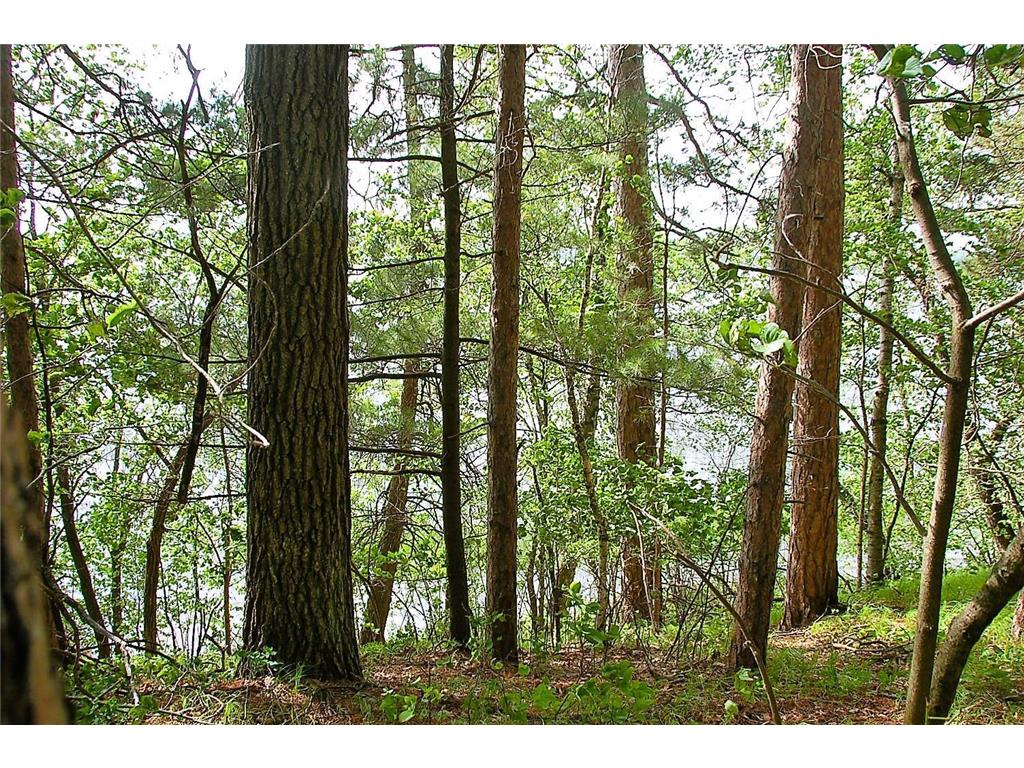 TBD Rognaldson Road Brainerd MN 56401 - Upper South Long 6716897 image3