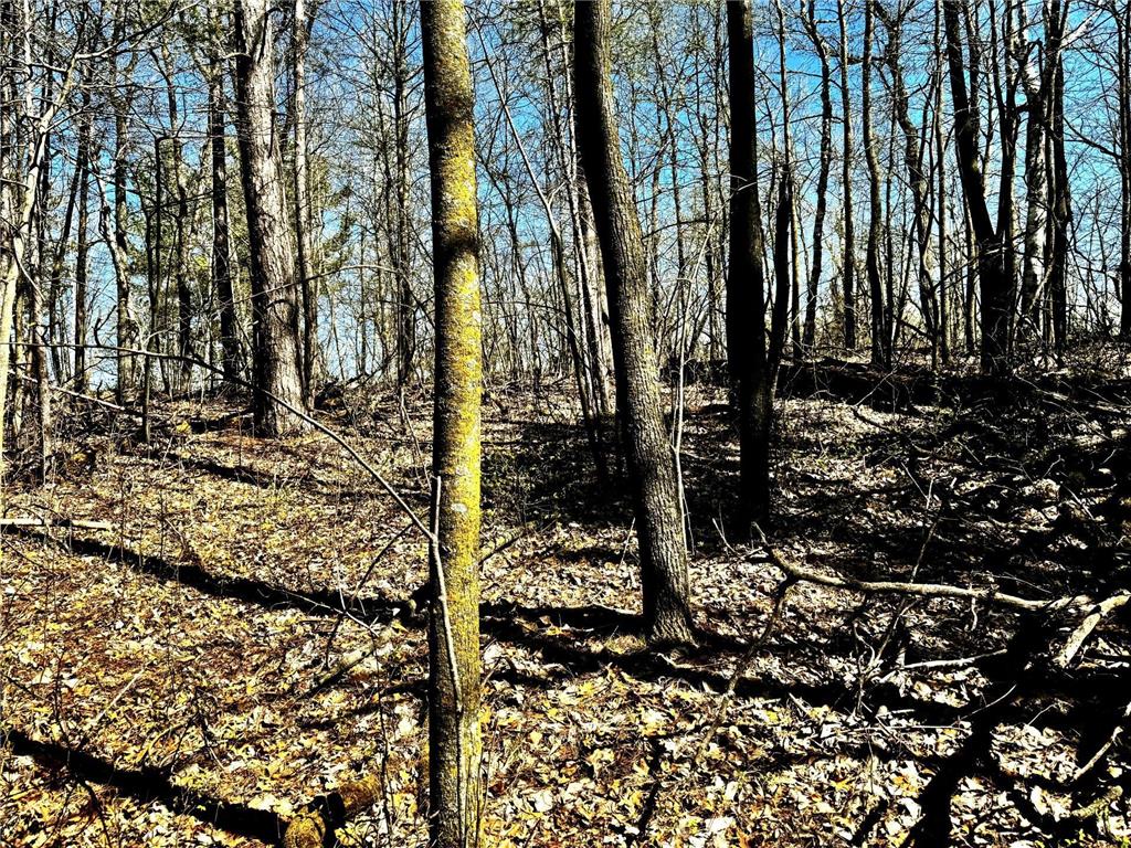 TBD Rognaldson Road Brainerd MN 56401 - Upper South Long 6716897 image4