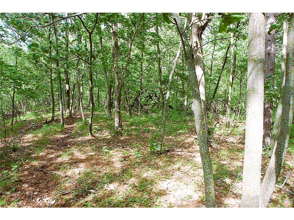 TBD Rognaldson Road Brainerd MN 56401 - Upper South Long 6716897 image5