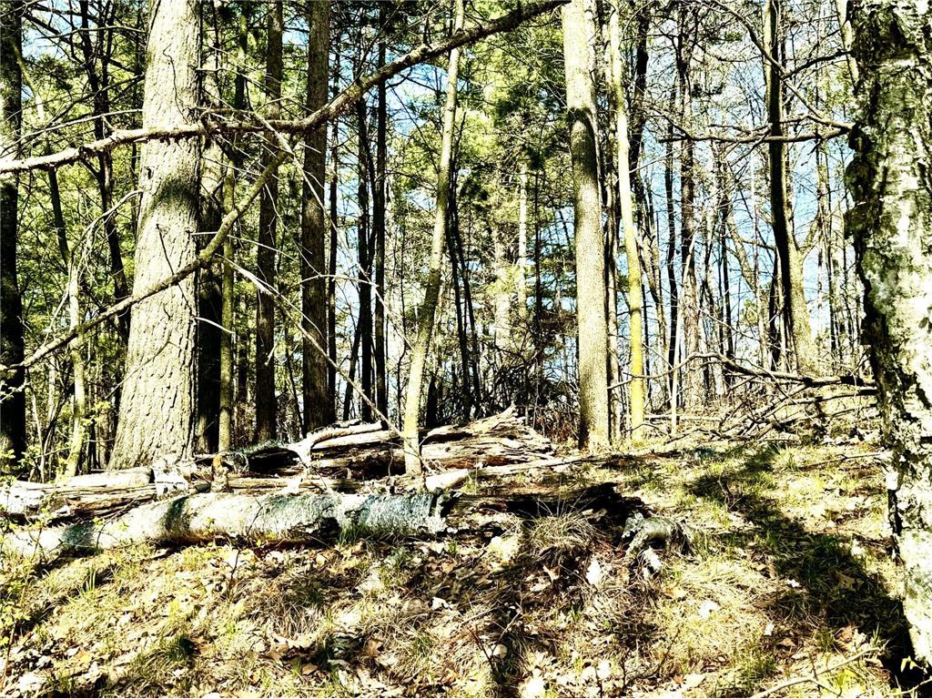 TBD Rognaldson Road Brainerd MN 56401 - Upper South Long 6716897 image6