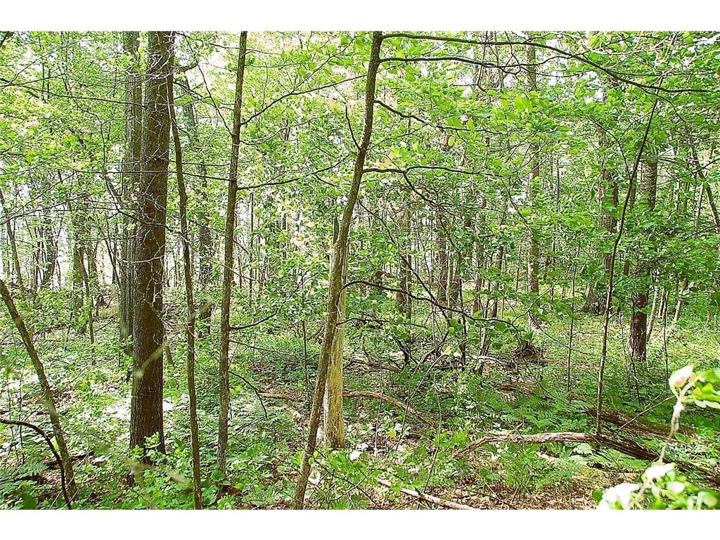 TBD Rognaldson Road Brainerd MN 56401 - Upper South Long 6716897 image7