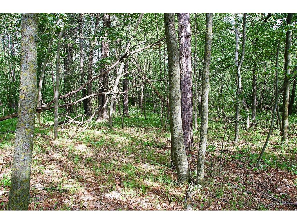 TBD Rognaldson Road Brainerd MN 56401 - Upper South Long 6716897 image8