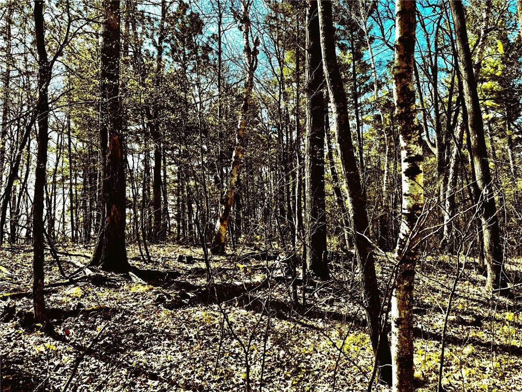 TBD Rognaldson Road Brainerd MN 56401 - Upper South Long 6716897 image9