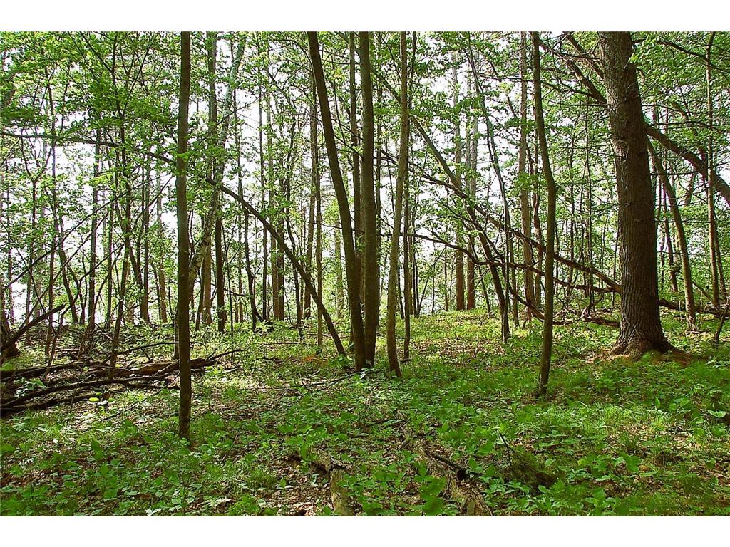 TBD Rognaldson Road Brainerd MN 56401 - Upper South Long 7074076 image10
