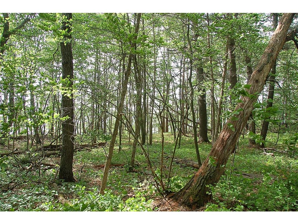 TBD Rognaldson Road Brainerd MN 56401 - Upper South Long 7074076 image11