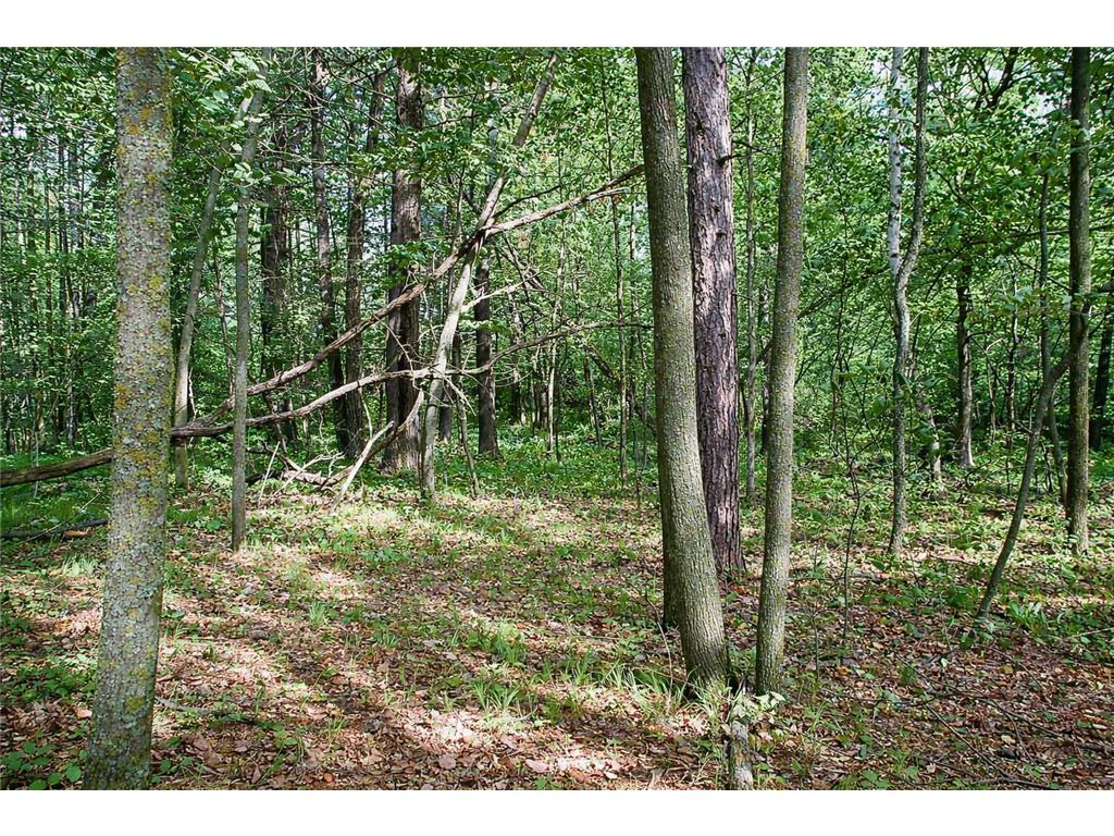 TBD Rognaldson Road Brainerd MN 56401 - Upper South Long 7074076 image12