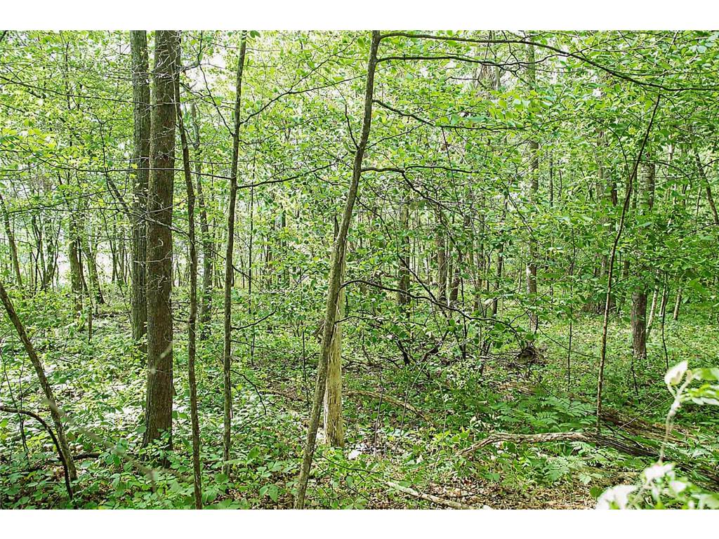 TBD Rognaldson Road Brainerd MN 56401 - Upper South Long 7074076 image15