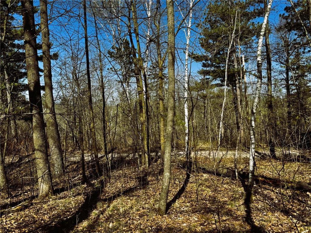 TBD Rognaldson Road Brainerd MN 56401 - Upper South Long 7074076 image16