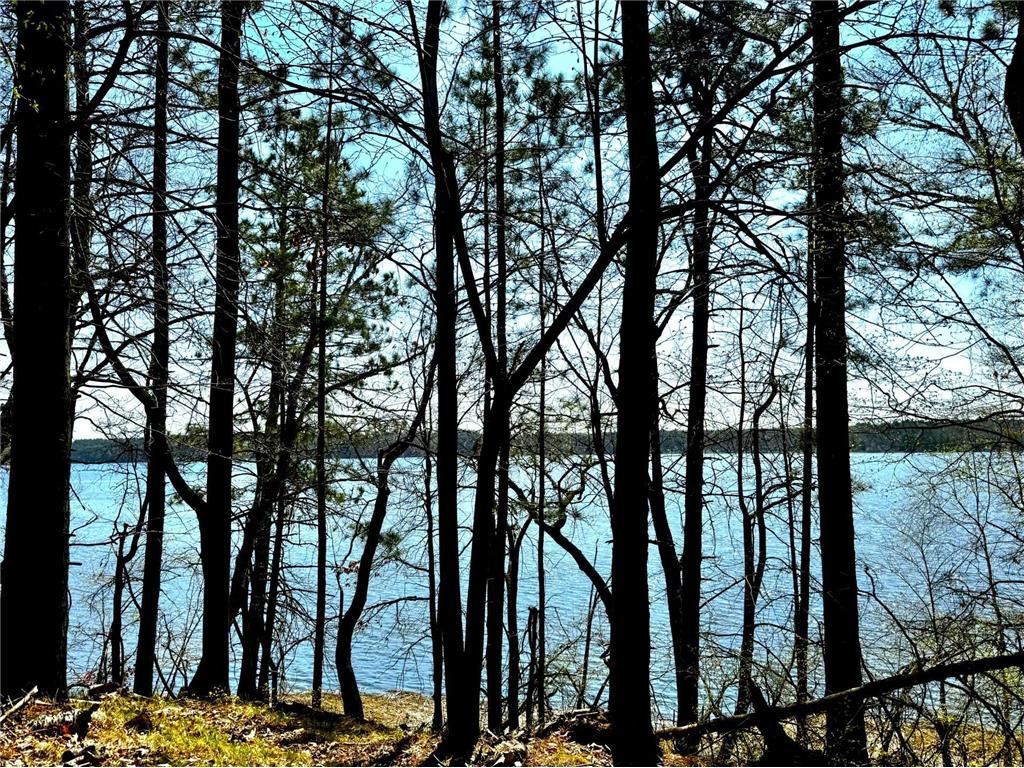 TBD Rognaldson Road Brainerd MN 56401 - Upper South Long 7074076 image2