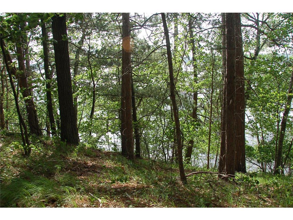 TBD Rognaldson Road Brainerd MN 56401 - Upper South Long 7074076 image5