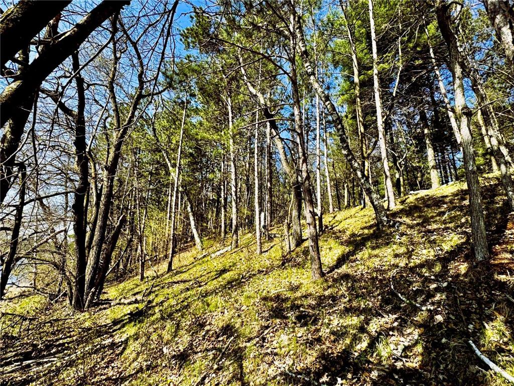TBD Rognaldson Road Brainerd MN 56401 - Upper South Long 7074076 image8