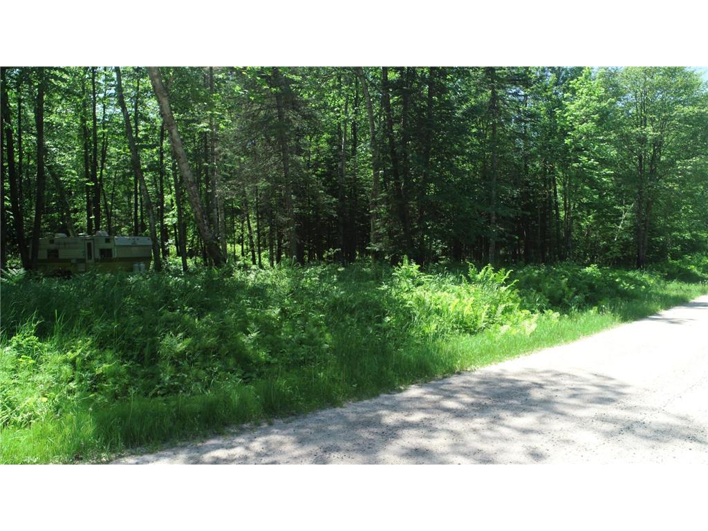 TBD Rush Island Lake Road Sand Lake Twp MN 56636 - Rush Island 7054754 image4