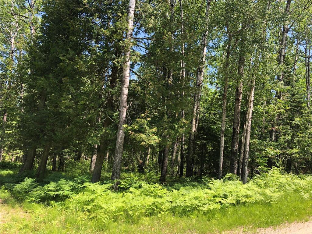 TBD Rush Island Lake Road Sand Lake Twp MN 56636 - Rush Island 7054754 image9