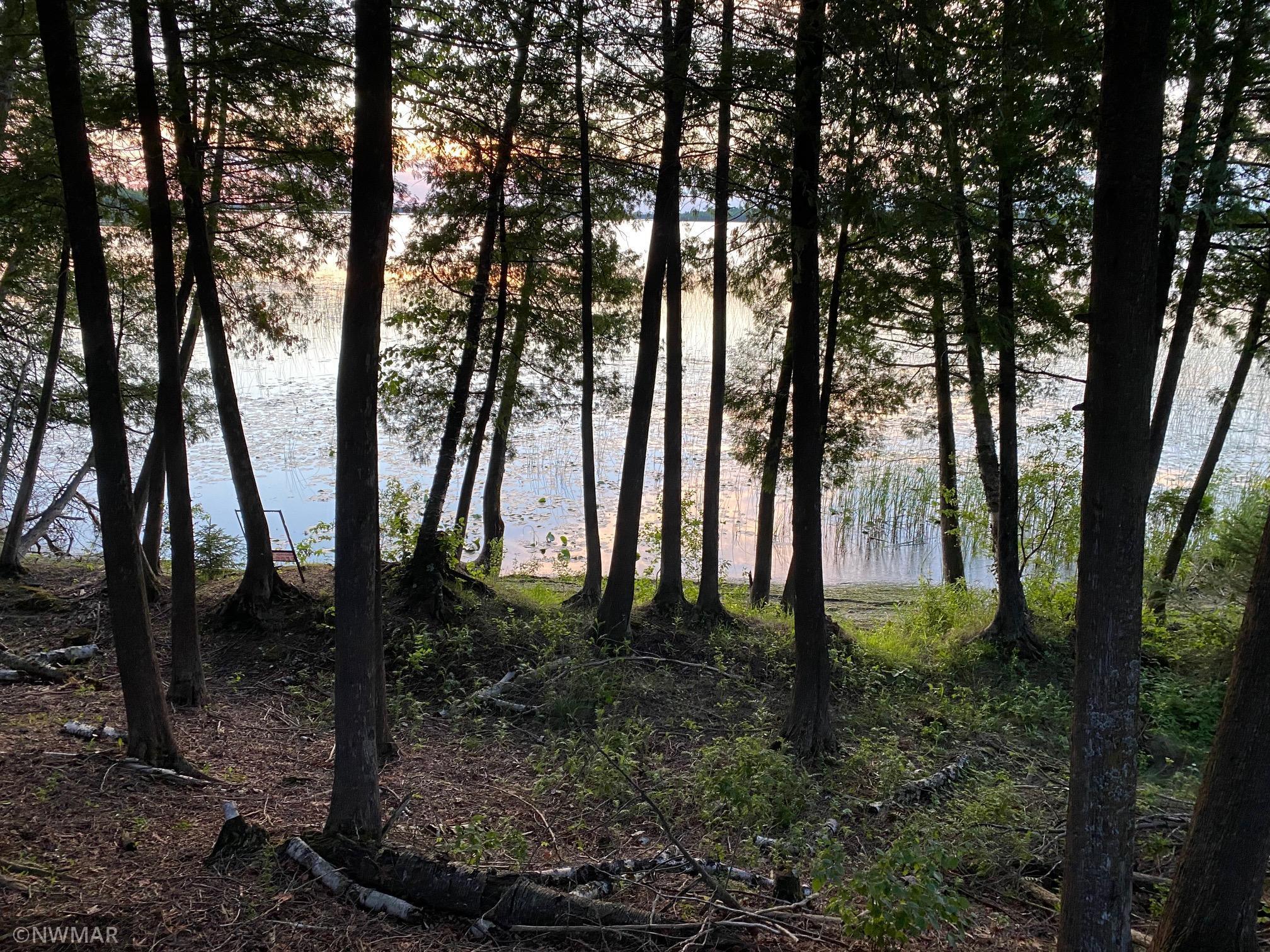 TBD S Gull Lake Road SW, Tenstrike, MN 56683 MLS 6013953 Edina Realty