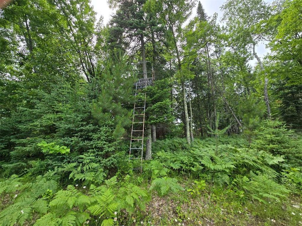 TBD S Little Boy Drive NE Longville MN 56655 - Little Boy Lake 7105558 image10