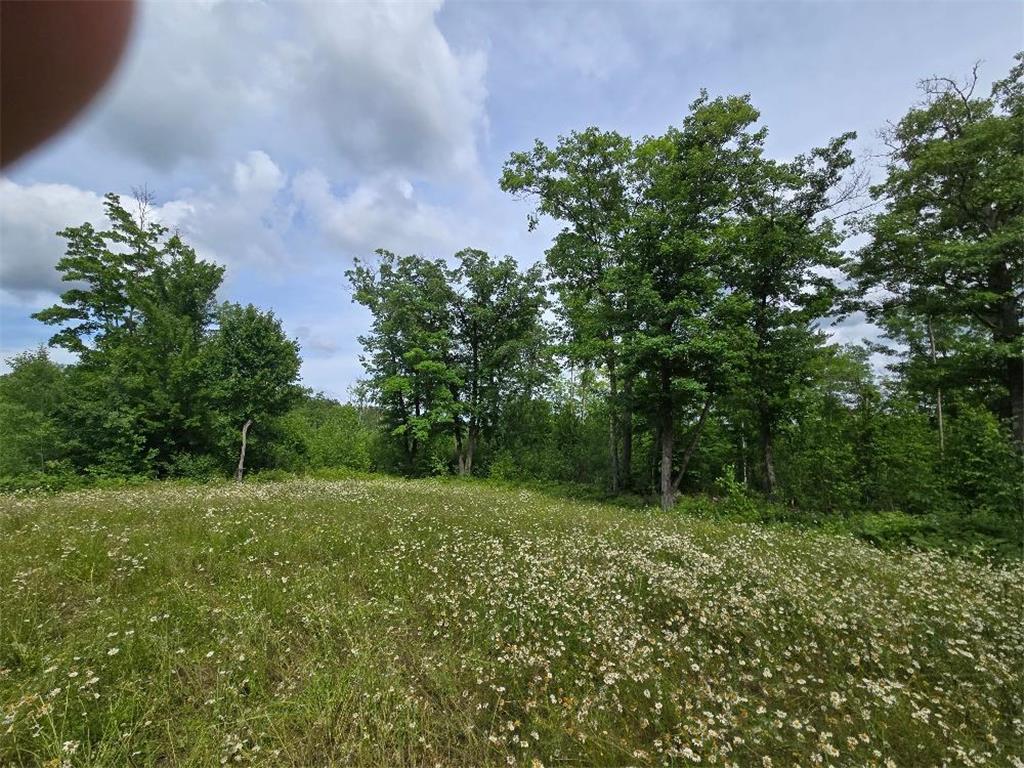 TBD S Little Boy Drive NE Longville MN 56655 - Little Boy Lake 7105558 image11