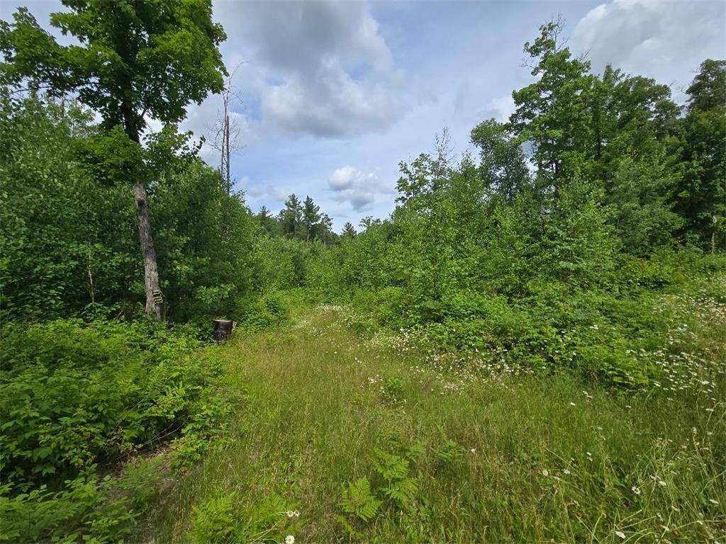 TBD S Little Boy Drive NE Longville MN 56655 - Little Boy Lake 7105558 image12