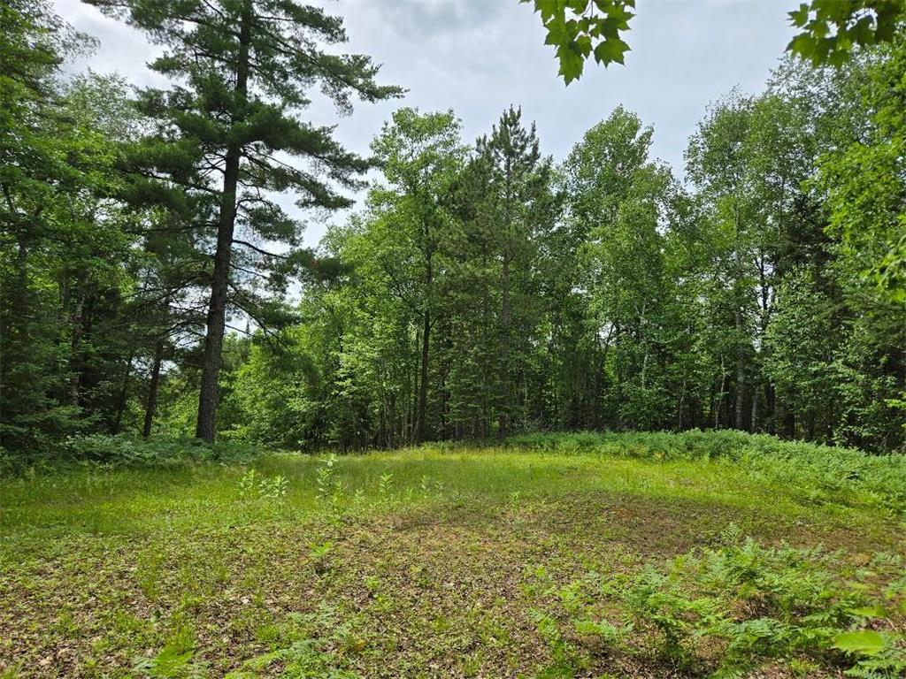 TBD S Little Boy Drive NE Longville MN 56655 - Little Boy Lake 7105558 image13