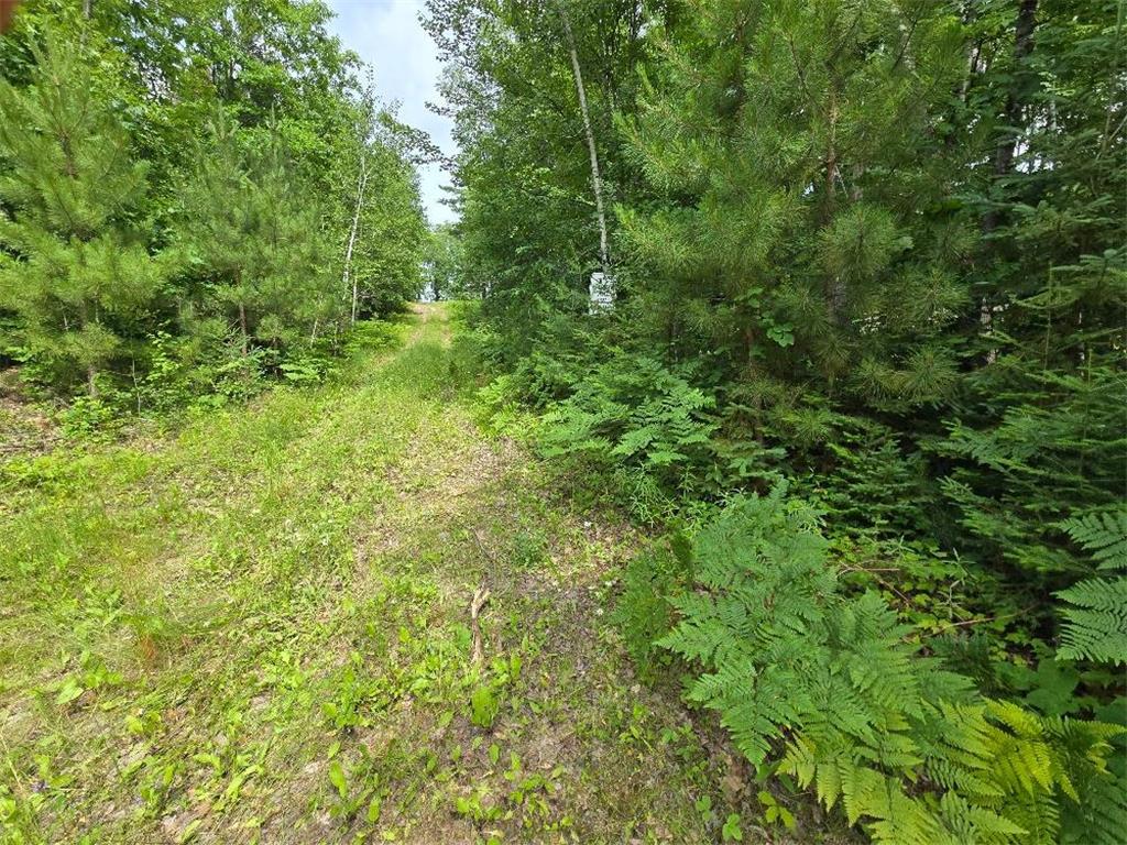 TBD S Little Boy Drive NE Longville MN 56655 - Little Boy Lake 7105558 image7