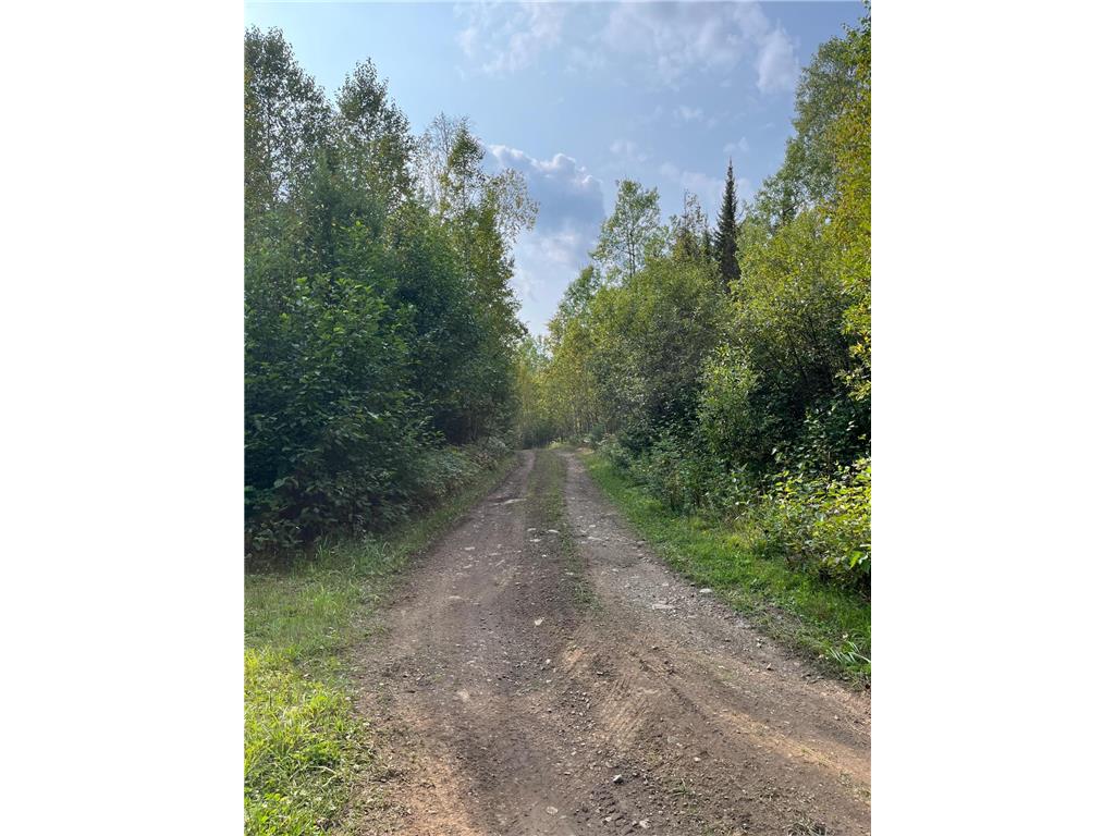 TBD S Lost Lake Road Hovland MN 55606 - Lost Lake 7058424 image3