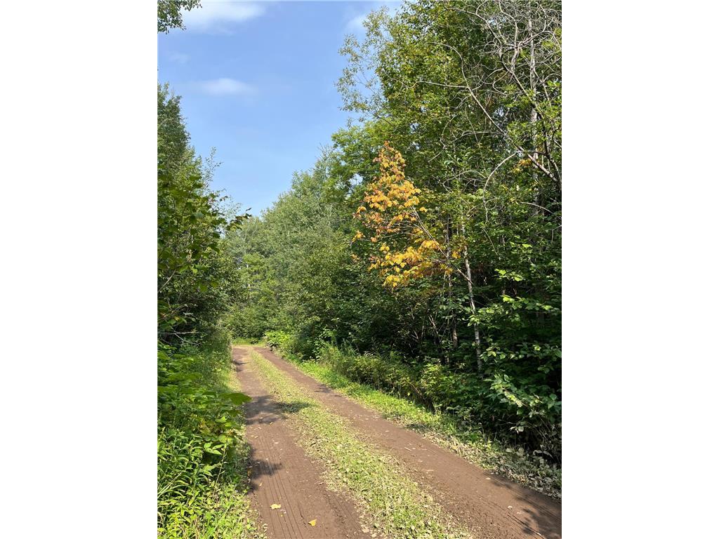 TBD S Lost Lake Road Hovland MN 55606 - Lost Lake 7058424 image4