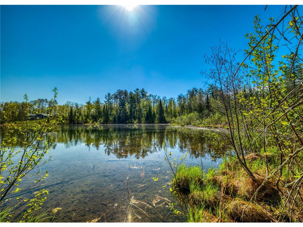 TBD S Thunder Lake Drive NE Remer MN 56672 - Thunder 7077246 image11