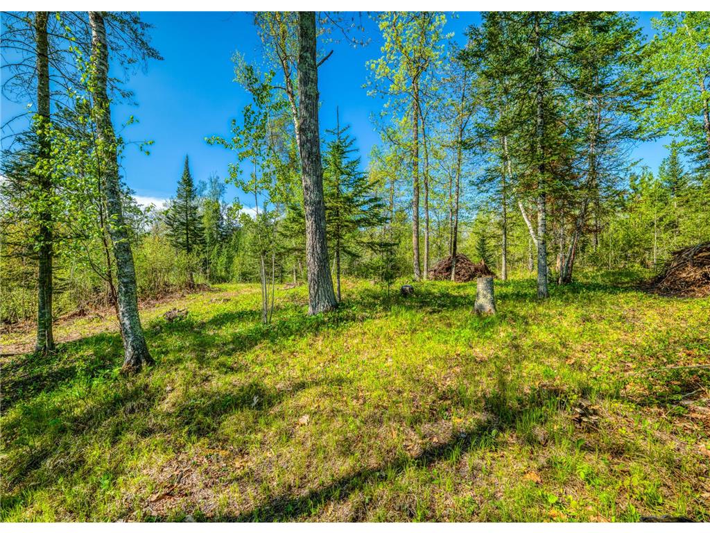 TBD S Thunder Lake Drive NE Remer MN 56672 - Thunder 7077246 image12