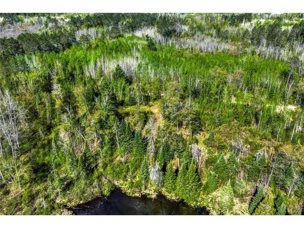 TBD S Thunder Lake Drive NE Remer MN 56672 - Thunder 7077246 image17