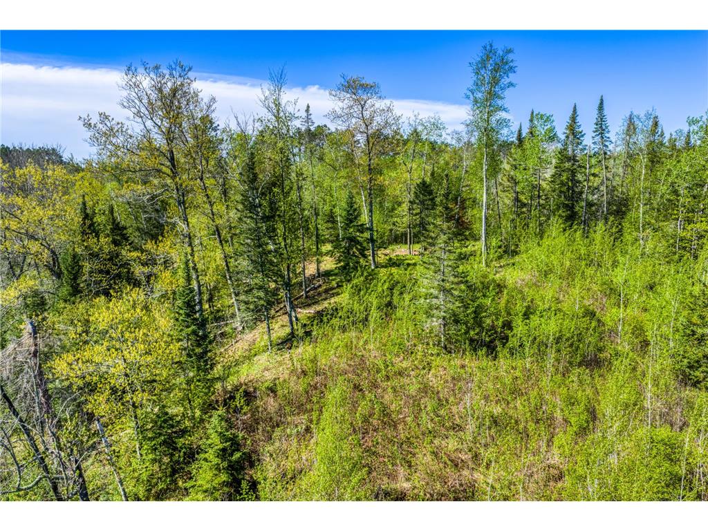 TBD S Thunder Lake Drive NE Remer MN 56672 - Thunder 7077246 image21